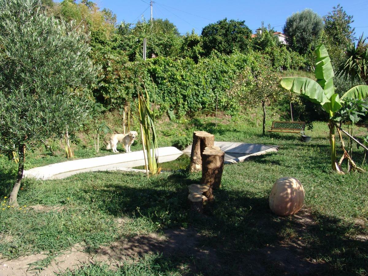 阿尔库什迪瓦尔德维什Quinta De Santa Marinha公寓 外观 照片