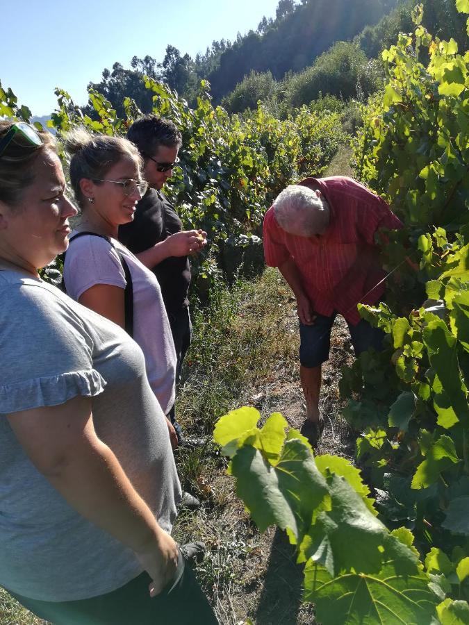 阿尔库什迪瓦尔德维什Quinta De Santa Marinha公寓 外观 照片