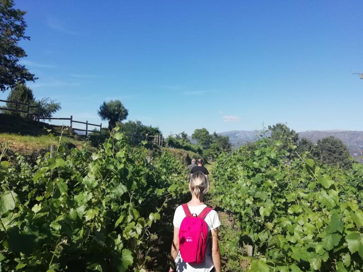 阿尔库什迪瓦尔德维什Quinta De Santa Marinha公寓 外观 照片